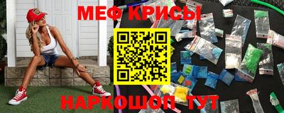 индика Славгород
