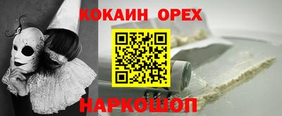 индика Славгород