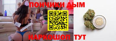 индика Славгород