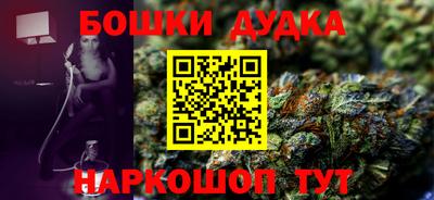 индика Славгород
