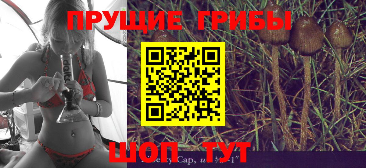Псилоцибиновые грибы ЛСД Нарткала
