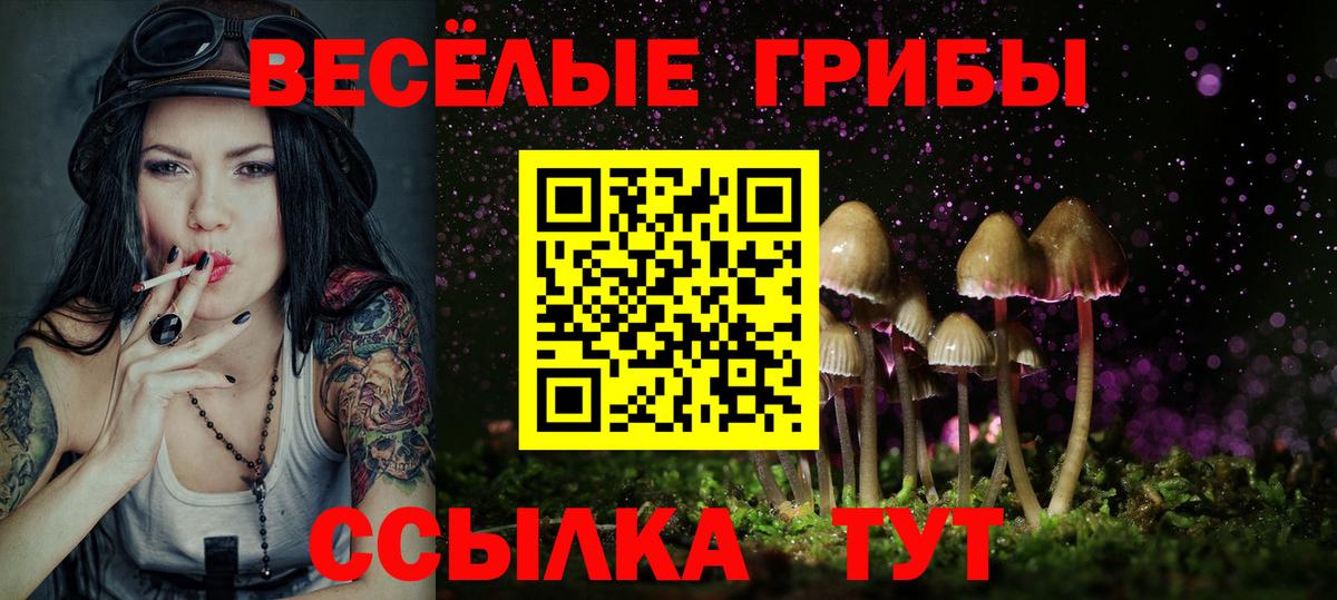 Псилоцибиновые грибы Magic Shrooms  Вход с VPN  Нарткала  хочу наркоту  Псилоцибиновые грибы Cubensis 